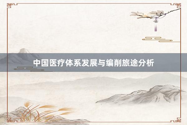 中国医疗体系发展与编削旅途分析