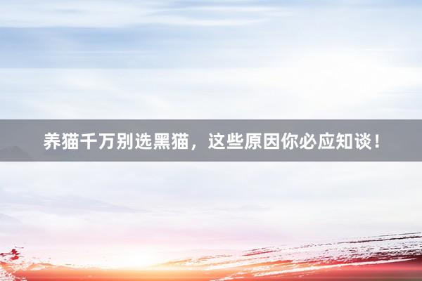 养猫千万别选黑猫，这些原因你必应知谈！